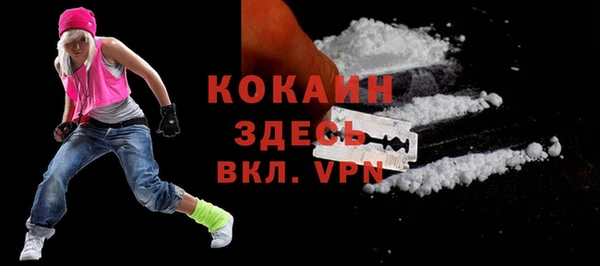 ПСИЛОЦИБИНОВЫЕ ГРИБЫ Корсаков