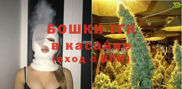 ПСИЛОЦИБИНОВЫЕ ГРИБЫ Корсаков