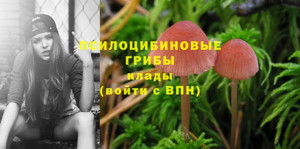 mix Коряжма