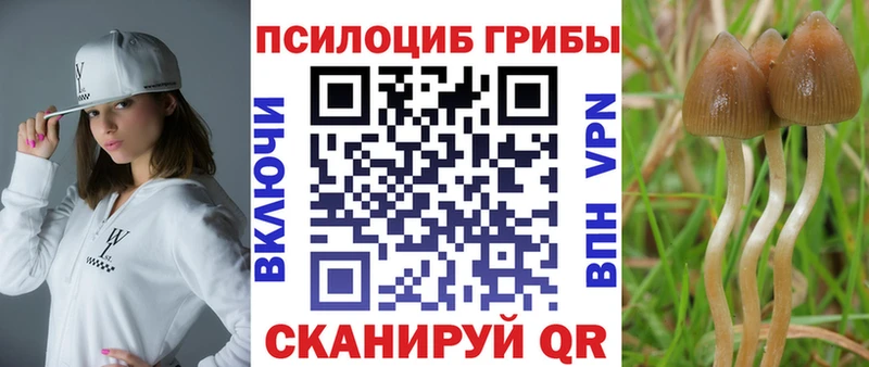 Купить закладки  Могоча  Псилоцибиновые грибы мухоморы 
